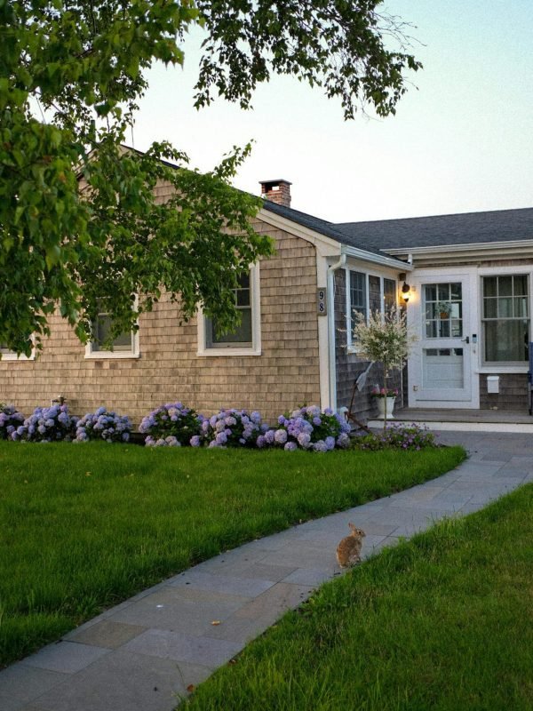 pexels-cvele-17474982 pexels-cvele-17474982