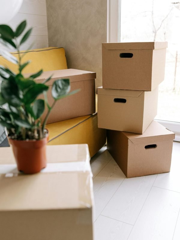 pexels-ivan-samkov-8962868 pexels-ivan-samkov-8962868